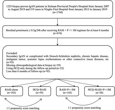 The Effect of Hydroxychloroquine on Residual Proteinuria in Patients With Immunoglobulin A Nephropathy: A Retrospective Study Based on Propensity Score Matching